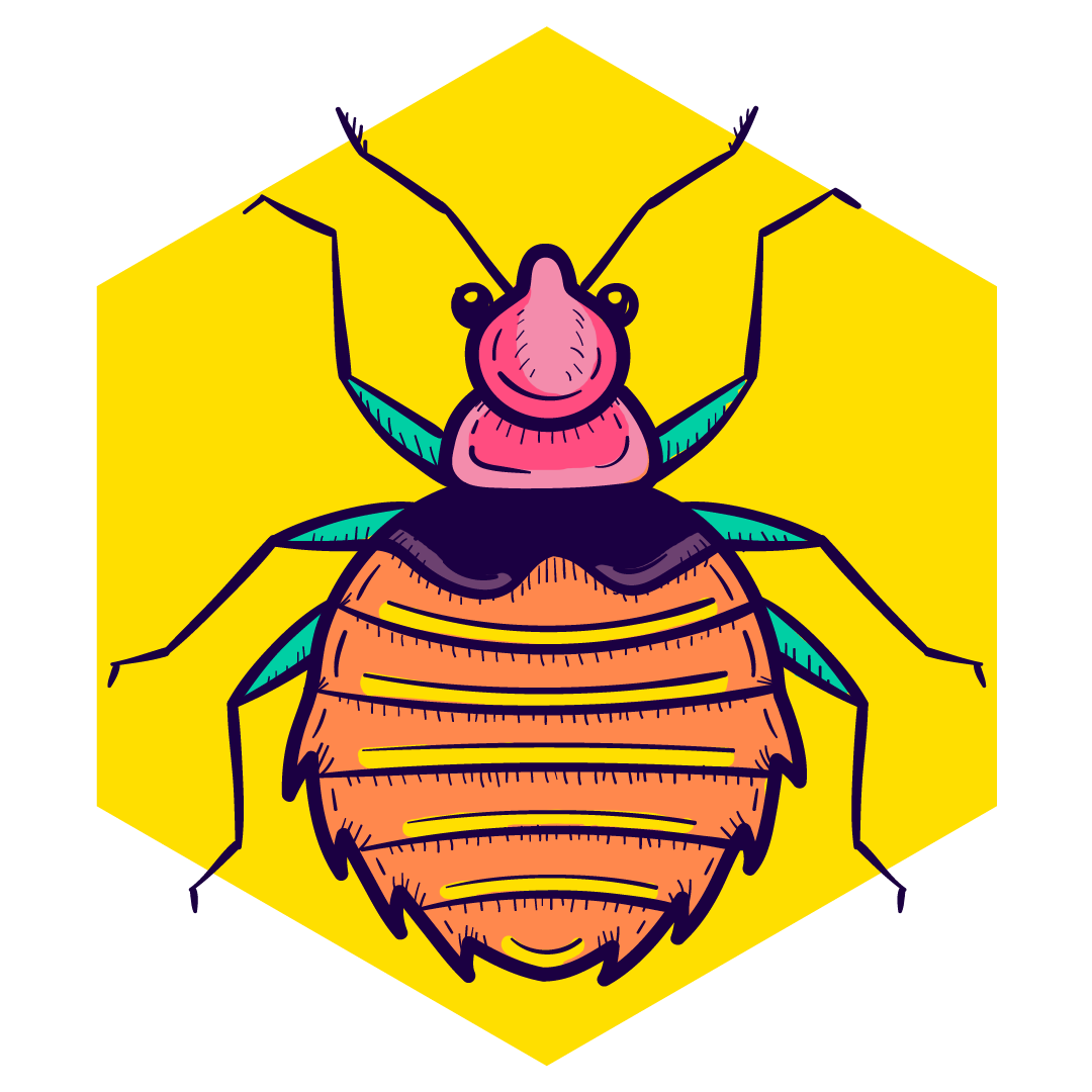 bed-bug